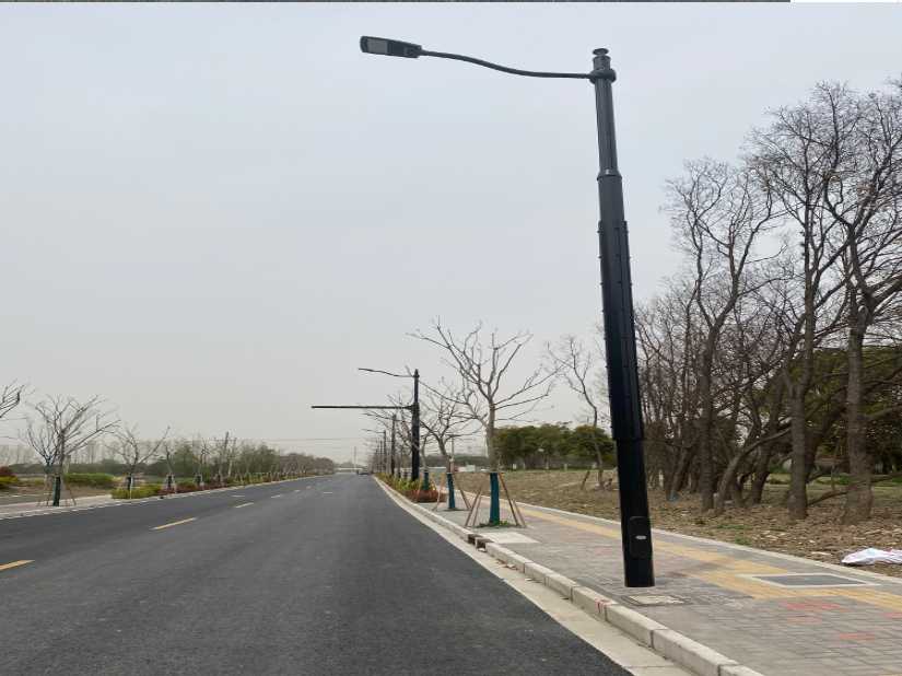 龙江县上海综合杆 太阳能路灯工程
